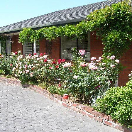 Avenue Westgrove B&B Christchurch Exterior foto